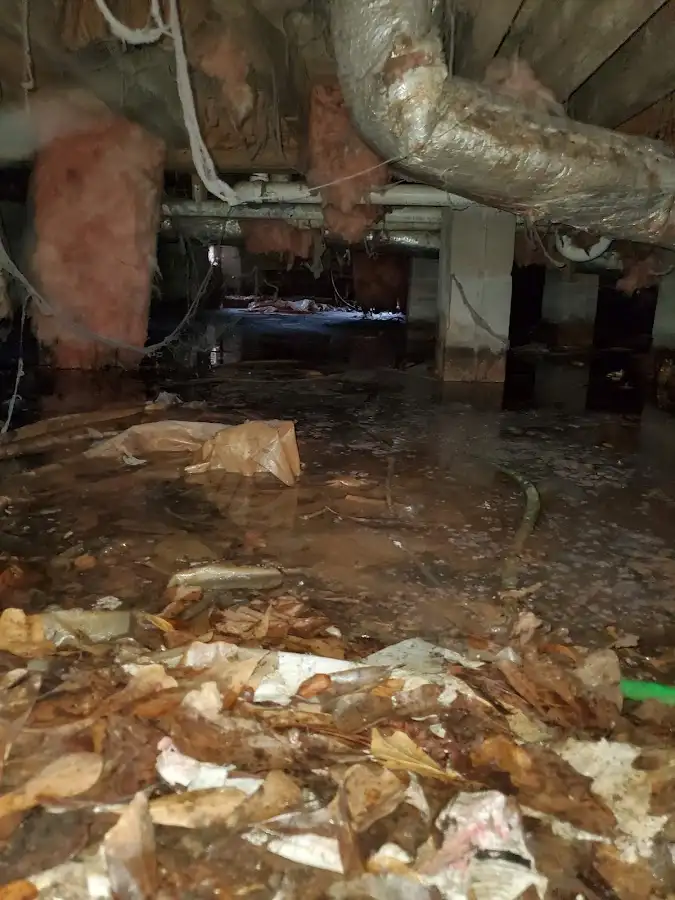 Crawl space flood assessment for Leak Detection & Repair in Woodruff